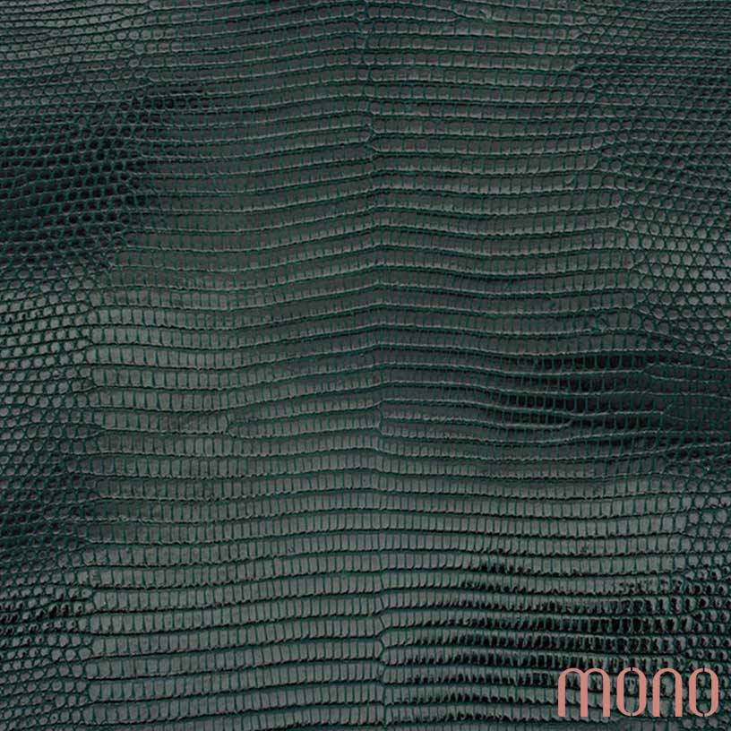 نکات مهم در نگهداری و مراقبت از چرم لیزارد