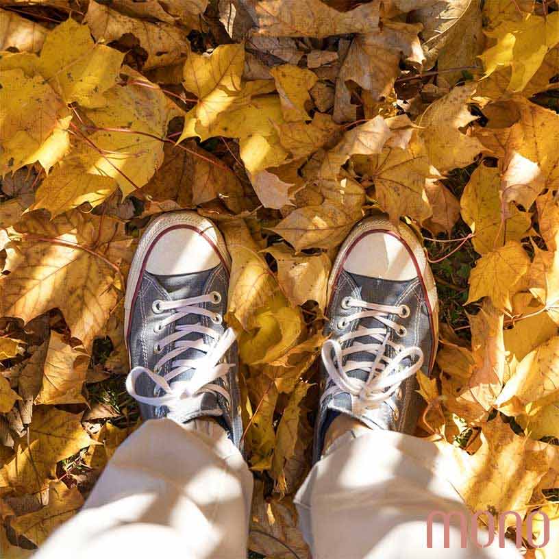 ست با کتونی در فصل پاییز